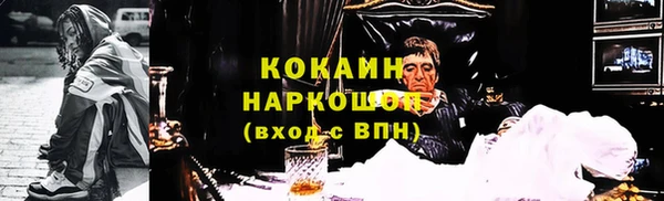 прущие грибы Арсеньев