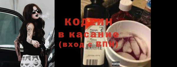 прущие грибы Арсеньев