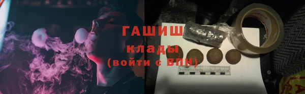 прущие грибы Арсеньев