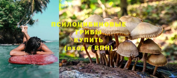 дмт Пересвет