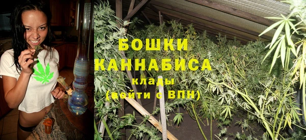 прущие грибы Арсеньев