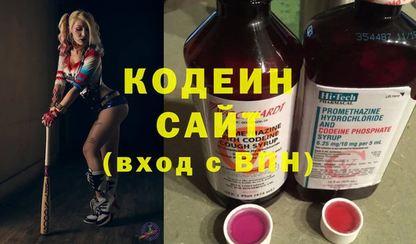 прущие грибы Арсеньев