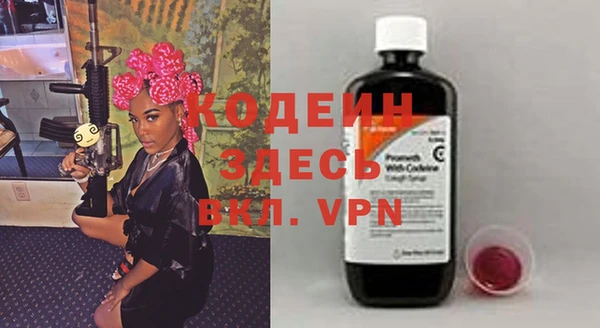 прущие грибы Арсеньев