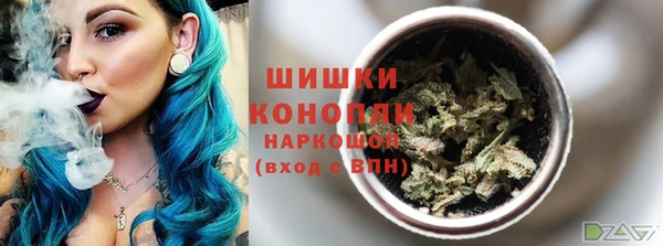 прущие грибы Арсеньев